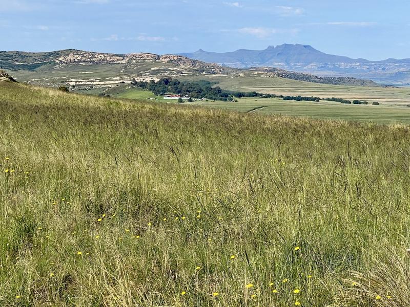 0 Bedroom Property for Sale in Fouriesburg Free State